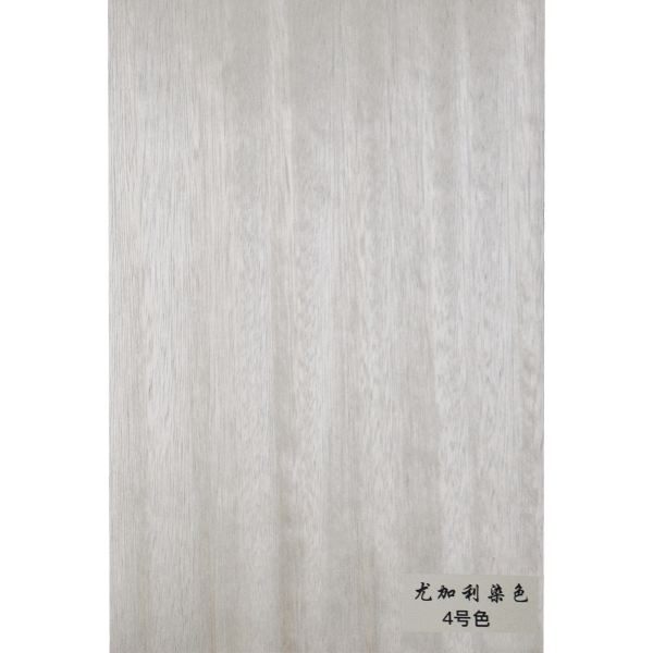 尤加利染色-4號(hào)色